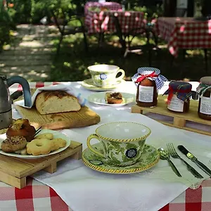  Farm stay Alle Torricelle